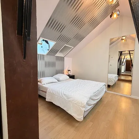 - Cosy Pour 2 Avec Wifi - Fr-1-498-128 Évian-les-Bains